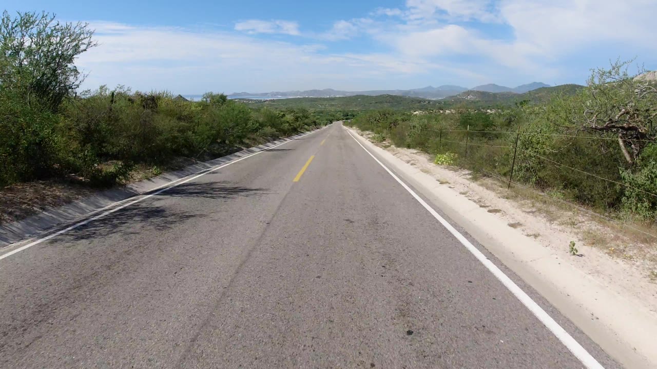 Paved road bordered by desert vegetation and fencing.