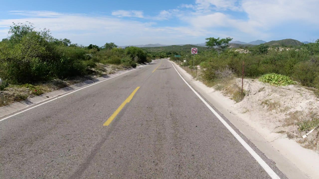 Curving road with roadside shrubs and a small traffic sign.