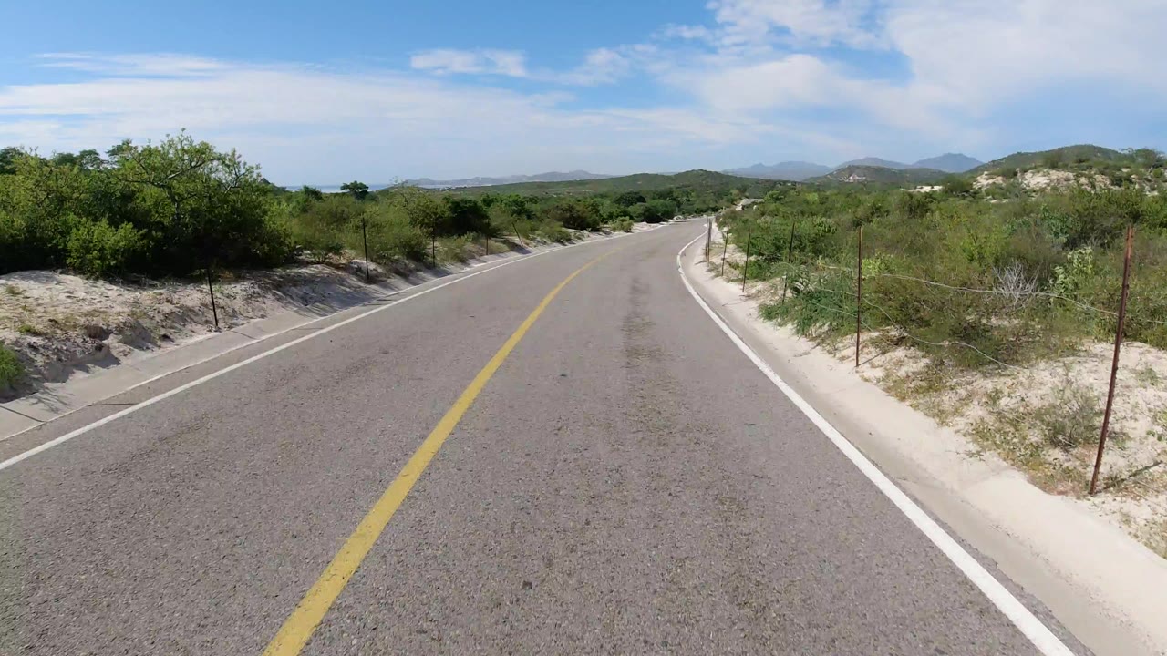 Empty paved road curving through low green shrubs and sandy shoulders.