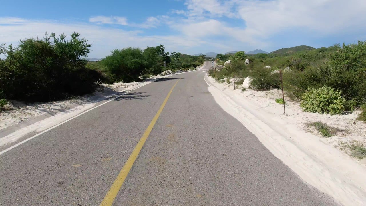 Forward-looking view down a paved Los Cabos road with scrubby green bushes close to both shoulders, white sand along the curbs, and no visible people.