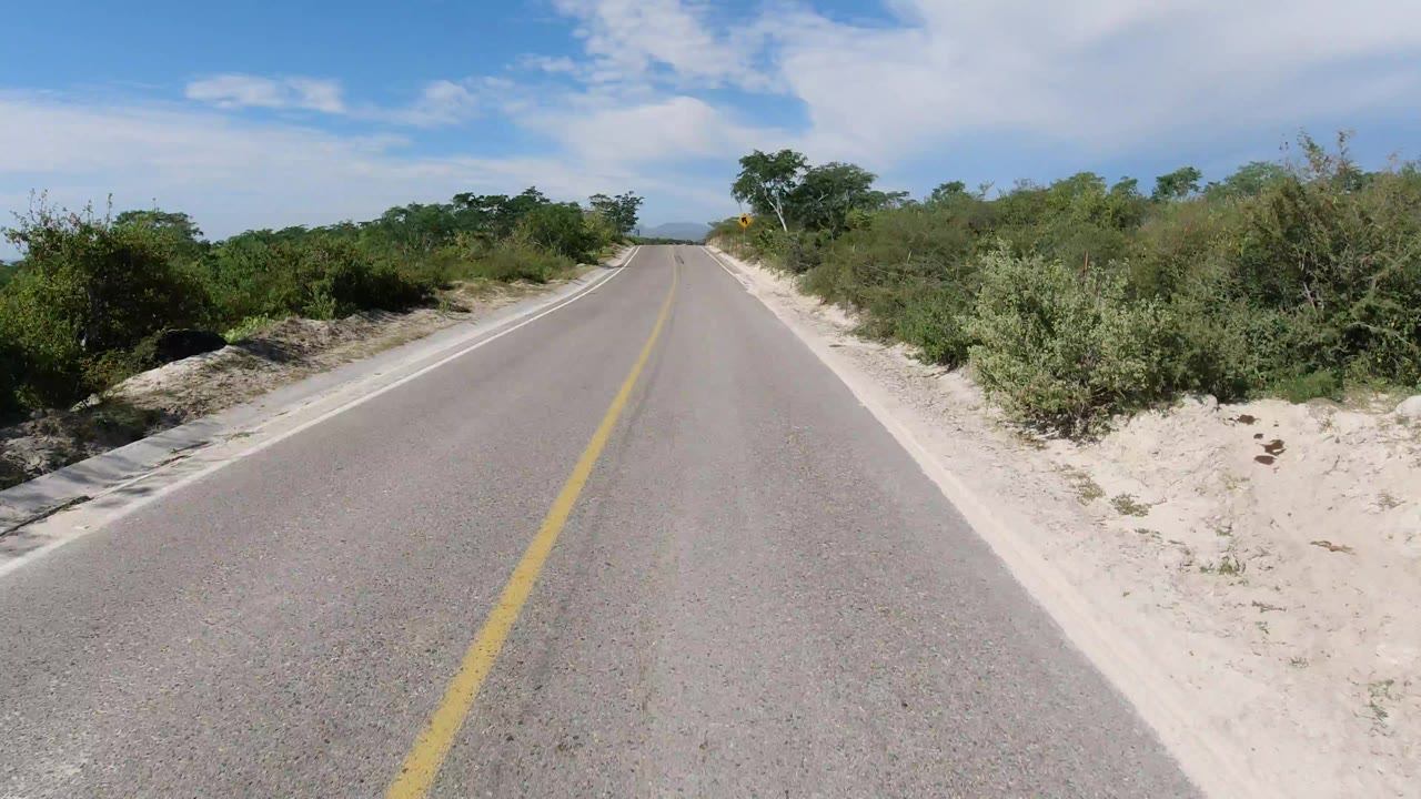 A centered view down a straight paved road in Los Cabos, Mexico, with sandy shoulders, green roadside shrubs, distant hills, blue sky, and no visible people.