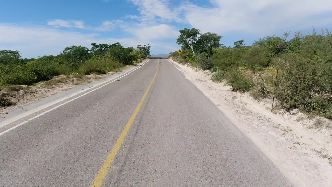 Empty road approaching a left curve warning sign.
