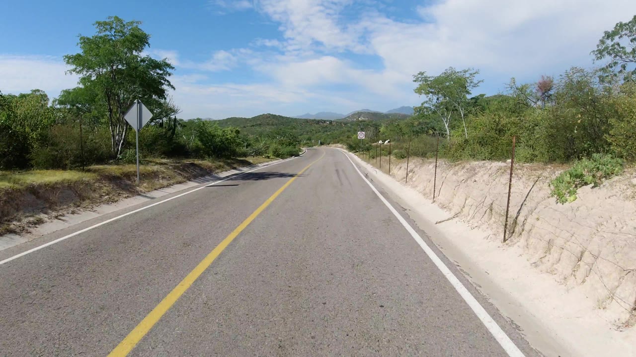 Road bend with a roadside diamond sign and scrub vegetation.
