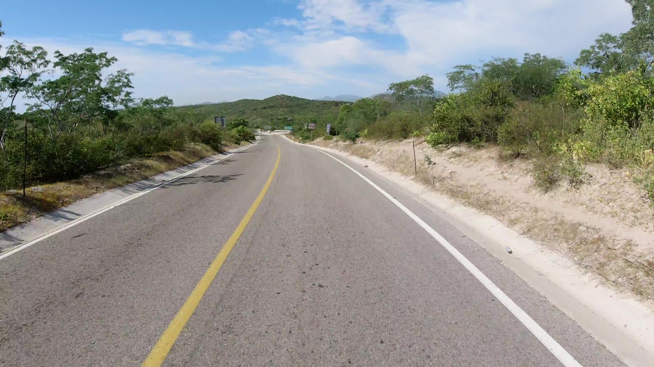 The Los Cabos road continues ahead between pale sandy shoulders and dense green roadside brush, with no visible people in the frame.
