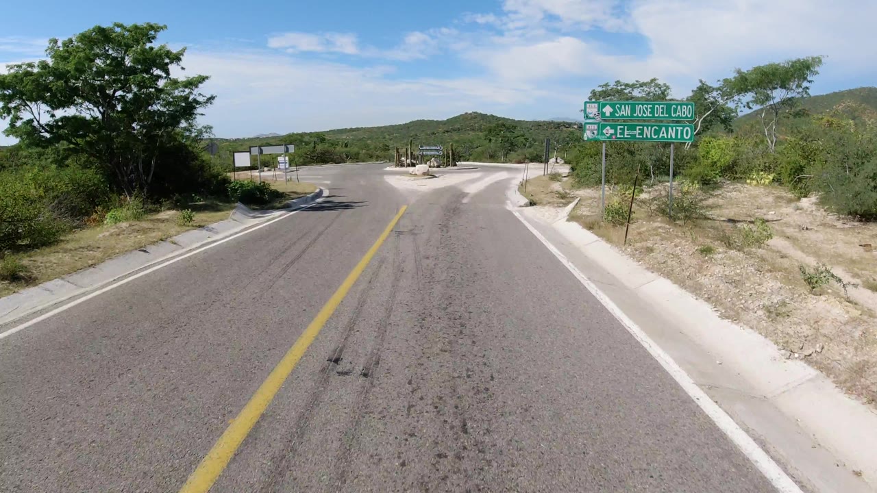 Forking road beside green directional signs and desert vegetation.