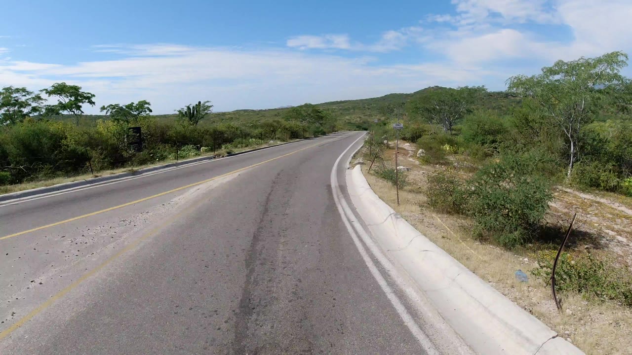 Curving paved road bordered by low trees and brush under blue sky.