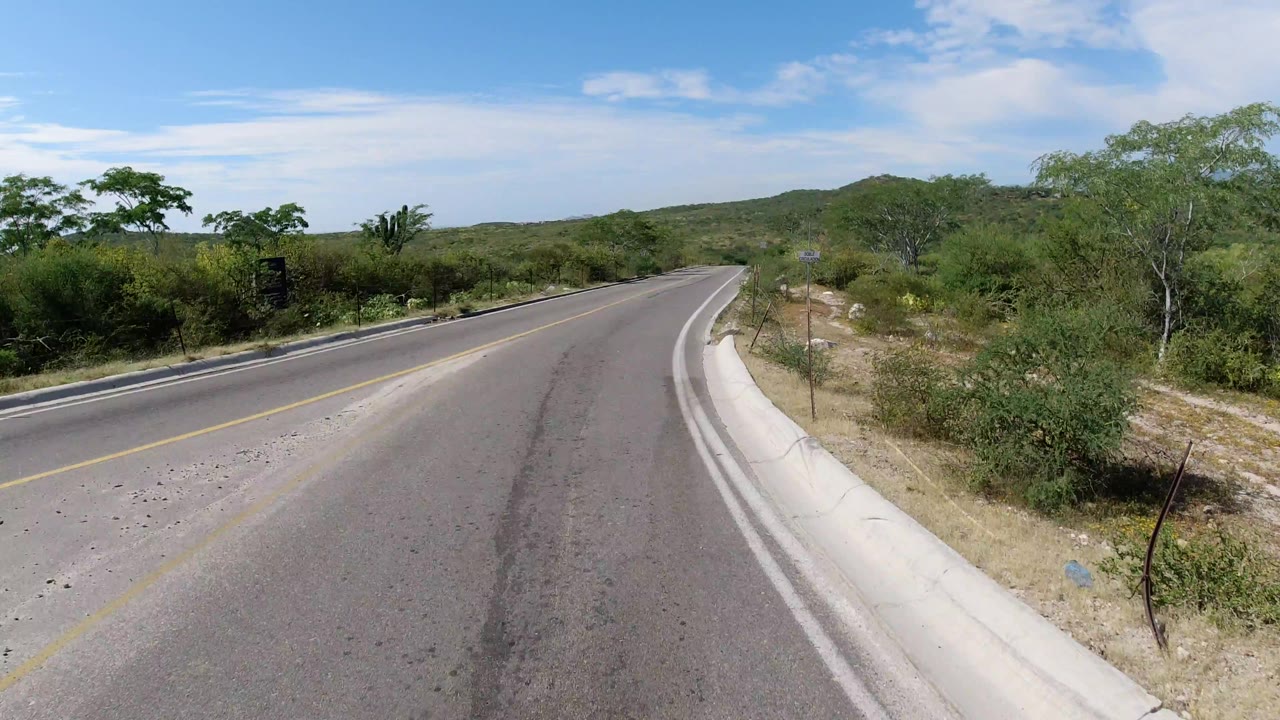The road continues around a gentle curve in Los Cabos, Mexico, with asphalt filling the foreground, brush on both sides, and no visible people.