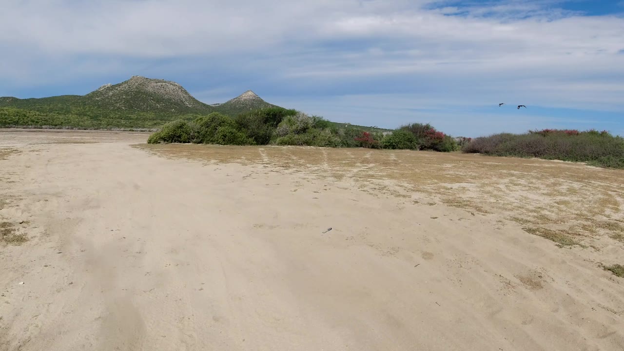 Los Cabos, Mexico landscape with a broad sandy foreground, green vegetation, two small birds against the sky, and distant mountains, with no visible people.