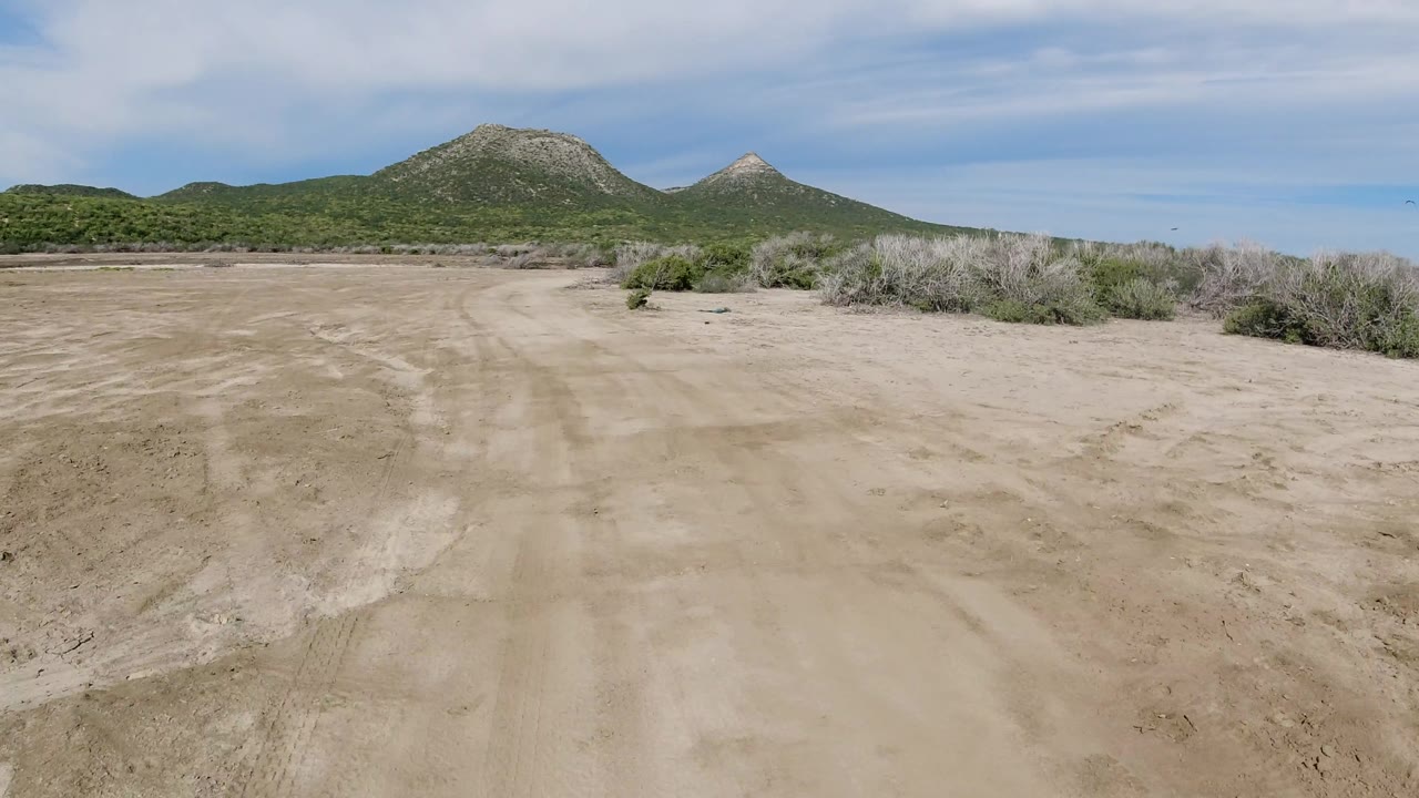 Unpaved road bordered by scrub with mountains under light cloud.
