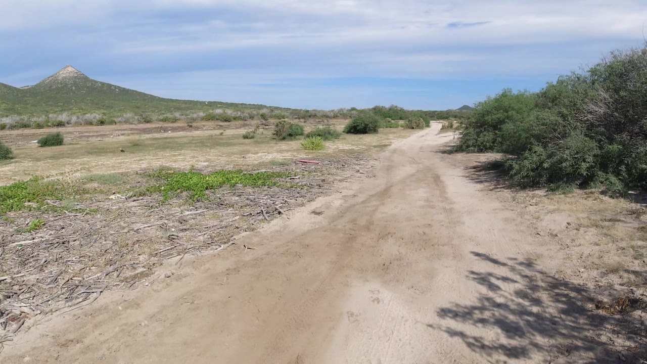 Dirt road through scrubland with a low hill under blue sky.