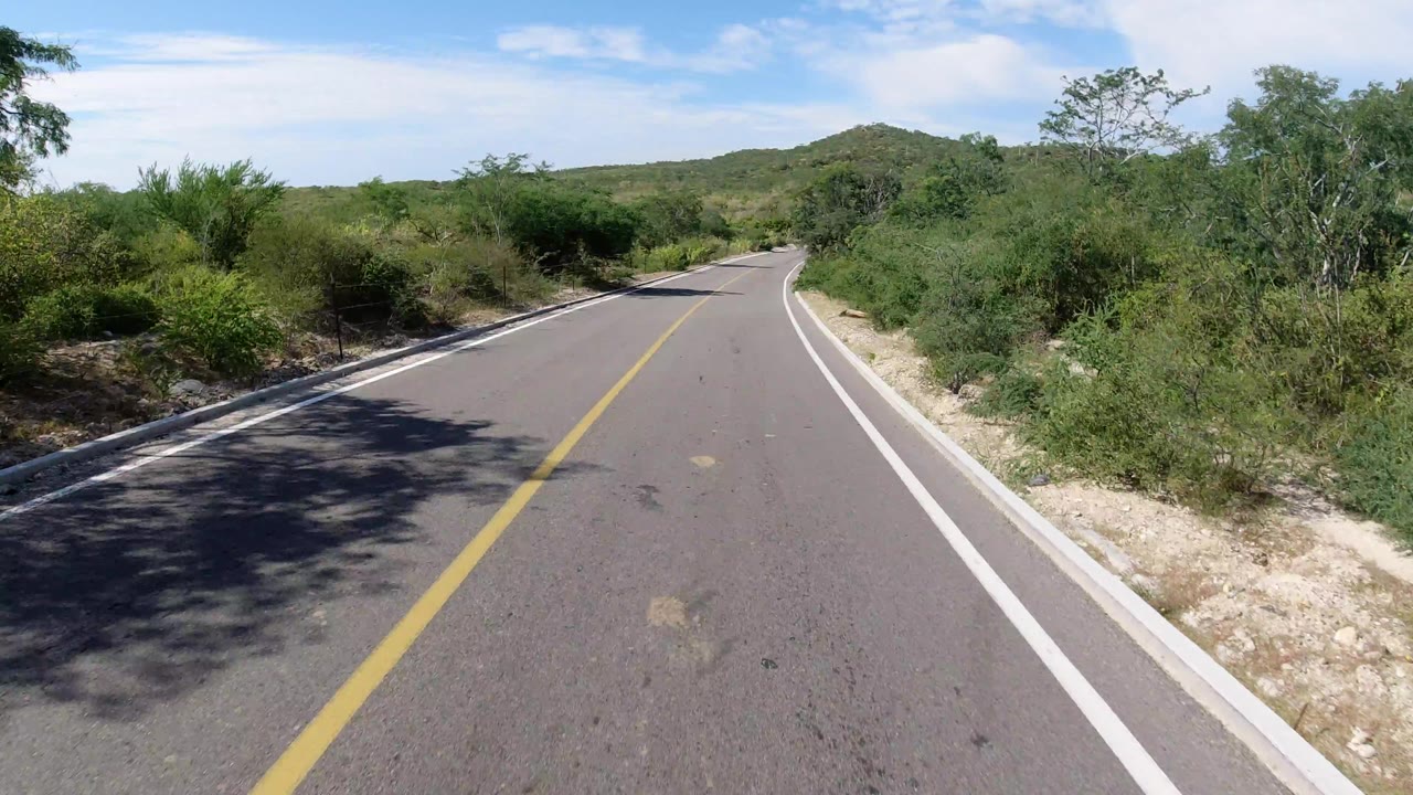 Forward view along the Los Cabos road as the lane begins to bend, with asphalt foreground, roadside shrubs, a low hill ahead, scattered clouds, and no visible people.