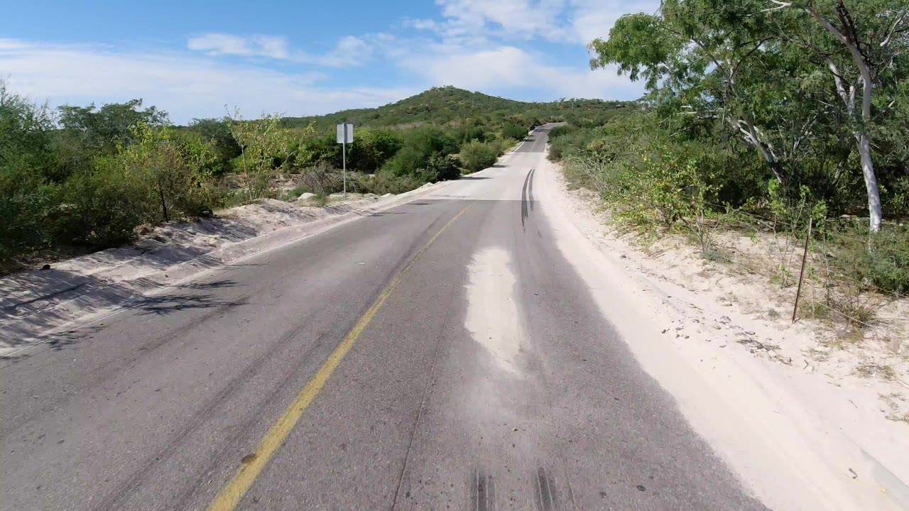 Empty paved road through sandy desert brush under blue sky.