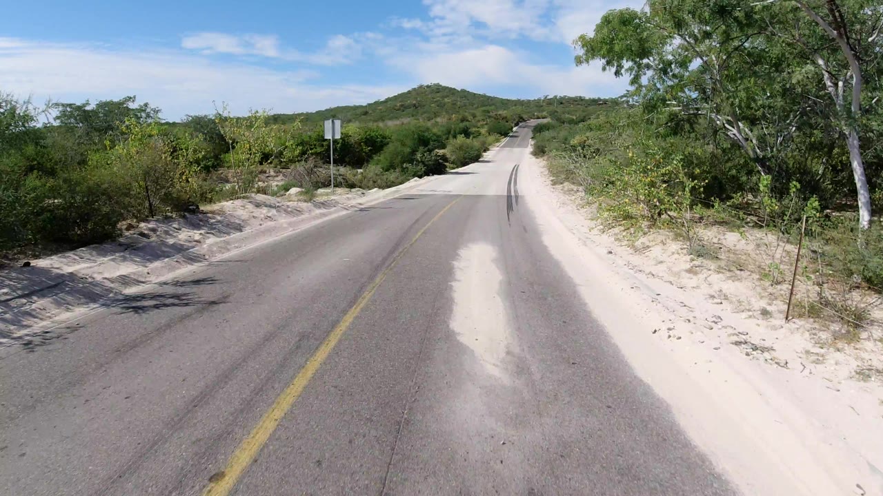 The Los Cabos road continues ahead between sandy shoulders and dense green shrubs, with a small roadside sign and no visible people.
