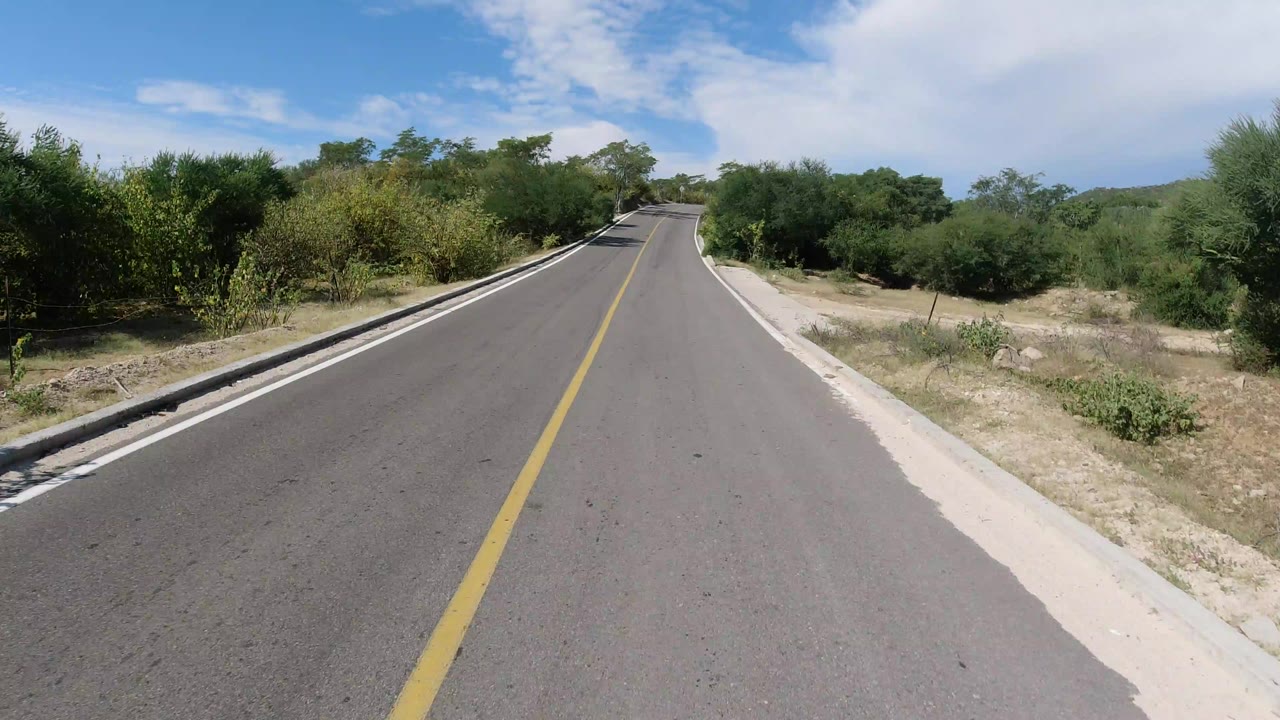 Forward view down a straight paved road in Los Cabos, Mexico, with green trees on both sides, a yellow center line, distant low hills, bright sky, and no visible people.