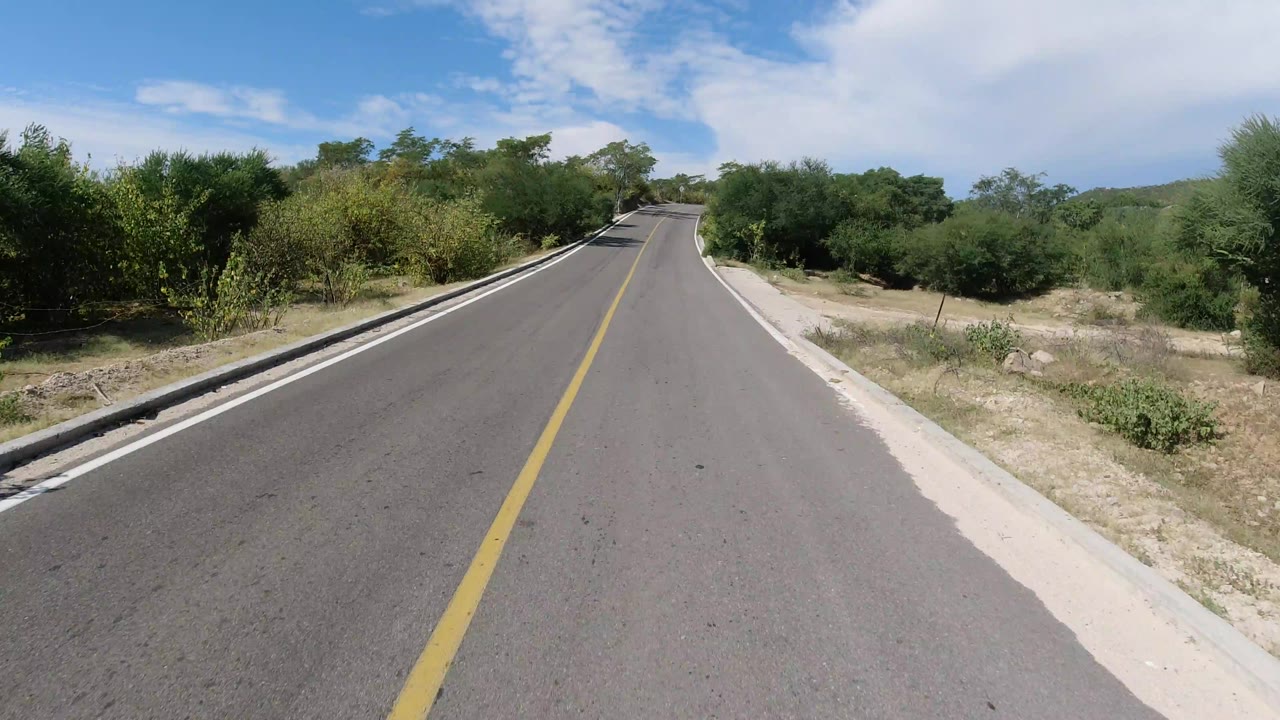 Empty paved road in Los Cabos, Mexico, seen from the lane center with dense shrubs and trees close to the curbs, distant hills, scattered clouds, and no visible people.