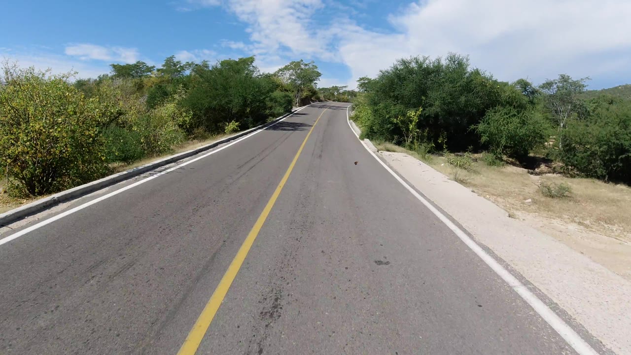 Paved road rising slightly with trees and scrub along both shoulders.