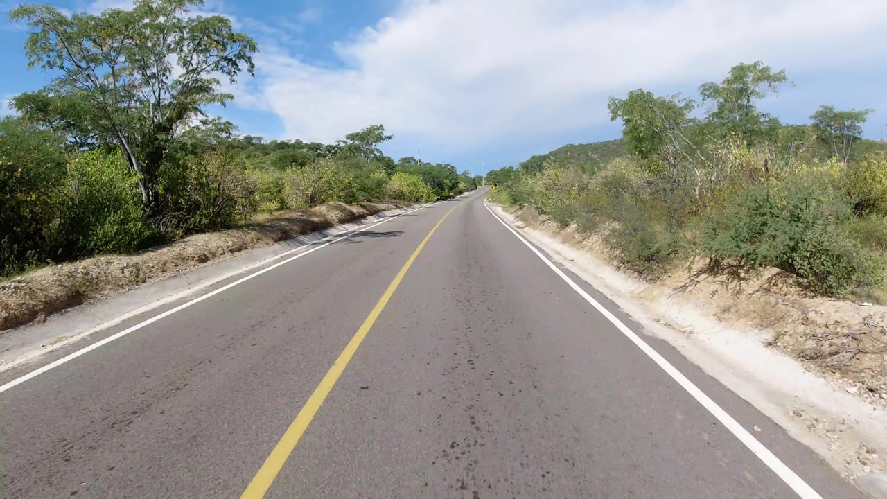 Los Cabos road POV with the lane centered, scrubby vegetation tight to both shoulders, distant low hills, bright daylight, and no visible people.