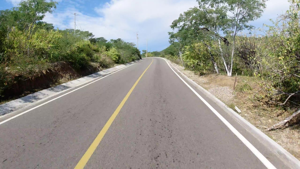 Centered road view in Los Cabos, Mexico, with a yellow center line, white shoulders, green roadside trees, low curbs, and no visible people.