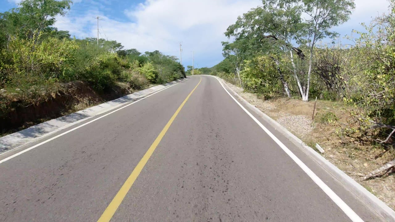 Los Cabos road perspective looking into a left bend, with scrub vegetation close to both shoulders, a bright sky, and no visible people.