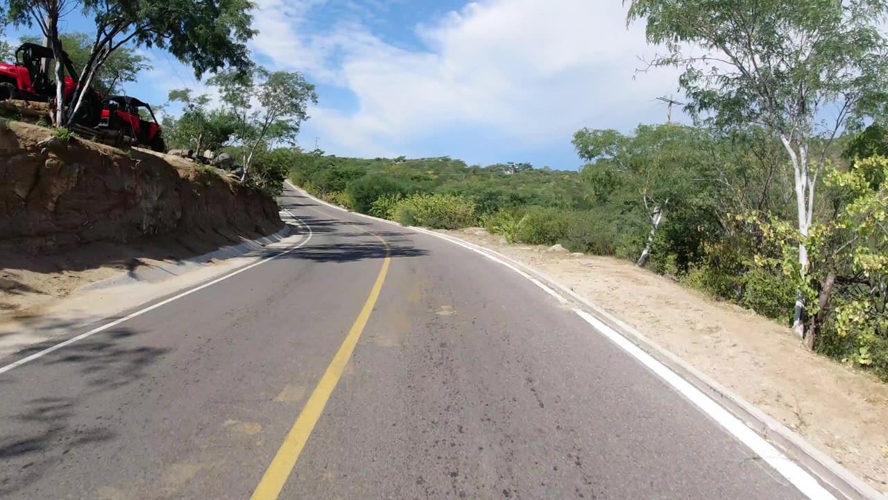 Los Cabos road view one second in, with the camera moving past a cut dirt shoulder, overhanging trees, green scrub, a clean lane surface, and no visible people.