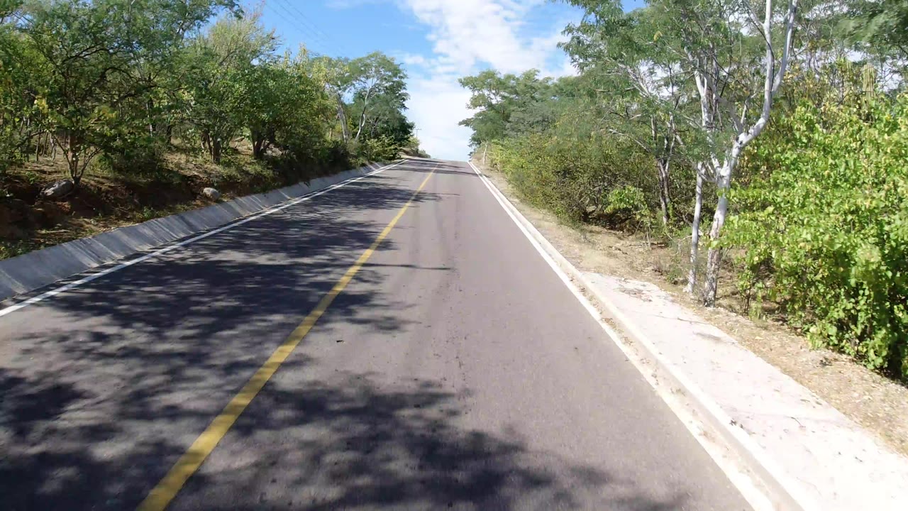 Empty paved road in Los Cabos, Mexico, with a yellow center line, white curbs, roadside trees, blue sky, and no visible people.
