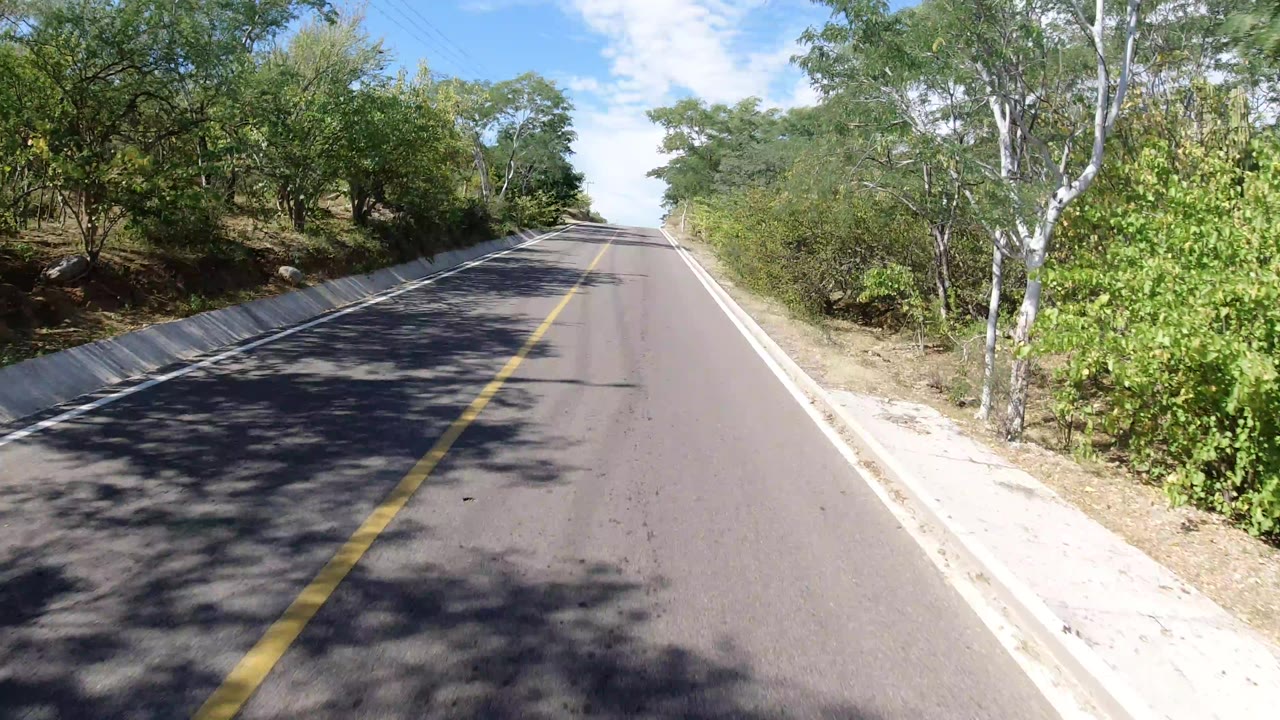 Forward view of the Los Cabos road as tree shadows cross the asphalt, with dense green vegetation on both sides and no visible people.