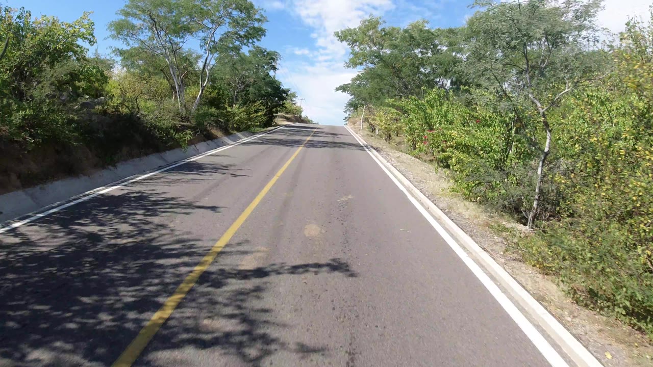Straight road bordered by brush and trees.