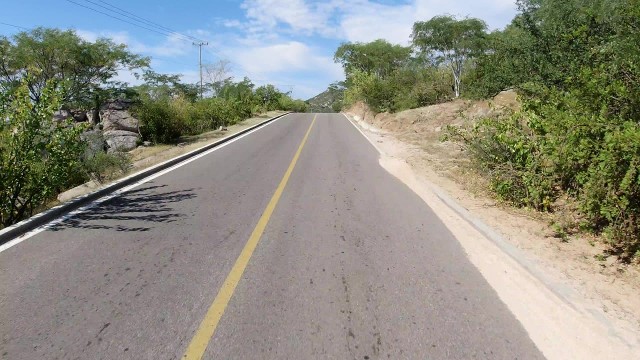 Sunlit paved road bordered by trees and dry brush.
