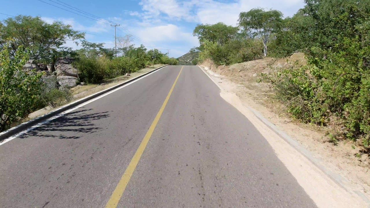 Forward road view in Los Cabos, Mexico, with the center line leading between scrubby vegetation, exposed dirt shoulders, trees, overhead utility lines, and no visible people.