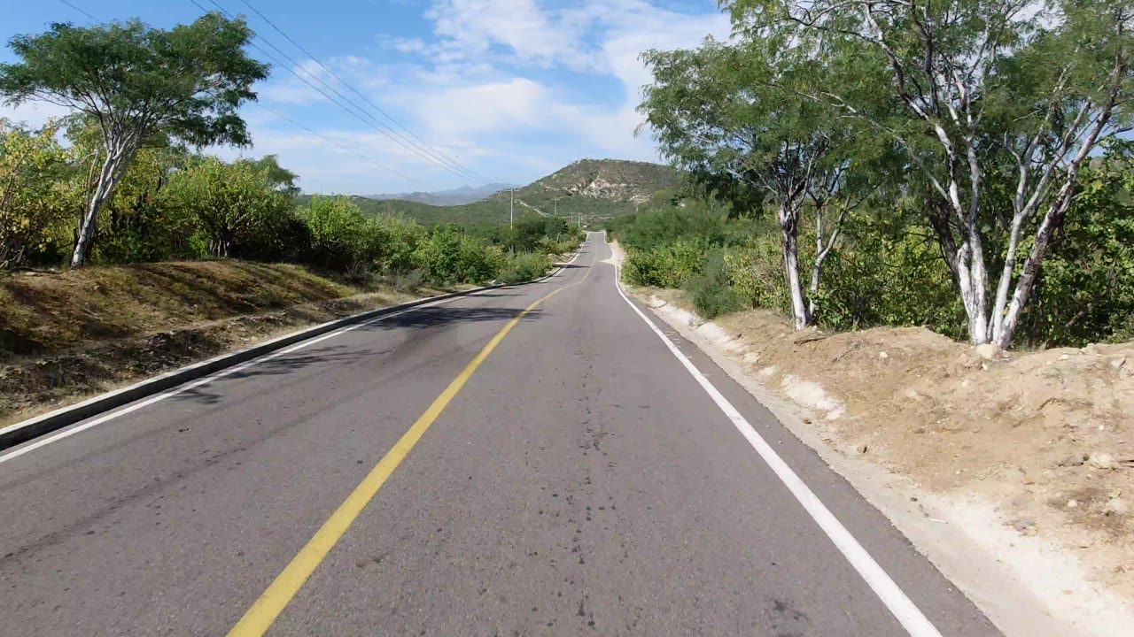 Empty paved road through green scrub and trees under a blue sky.