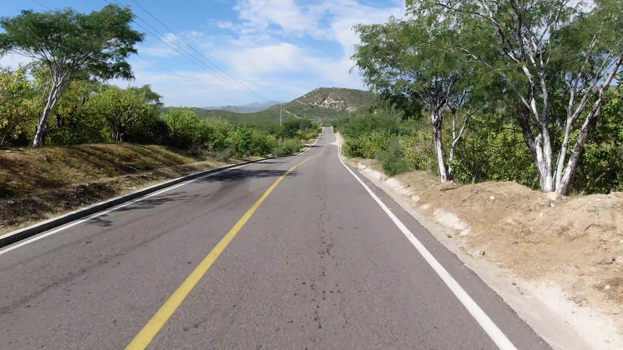 The road continues straight through Los Cabos, Mexico, with pale sandy edges, leafy brush close to both sides, a low hill ahead, and no visible people.