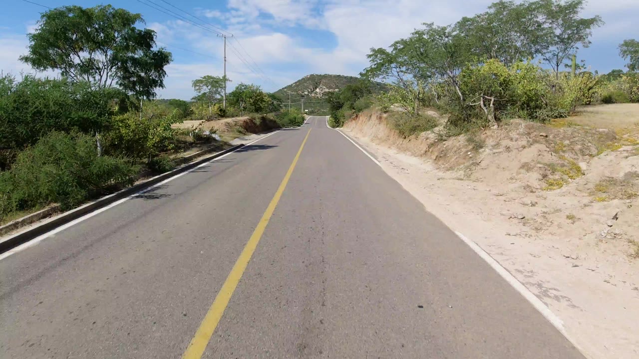 Two-lane road with yellow centerline, trees, shrubs, and low hills ahead.