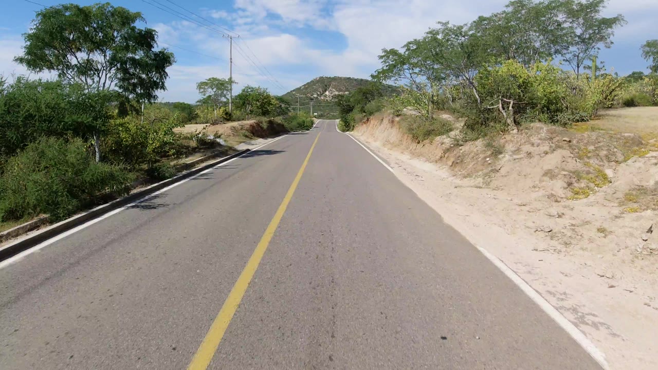 Centered view down a Los Cabos highway with asphalt filling the foreground, green roadside brush, trees on both shoulders, distant hills, overhead utility wires, and no visible people.