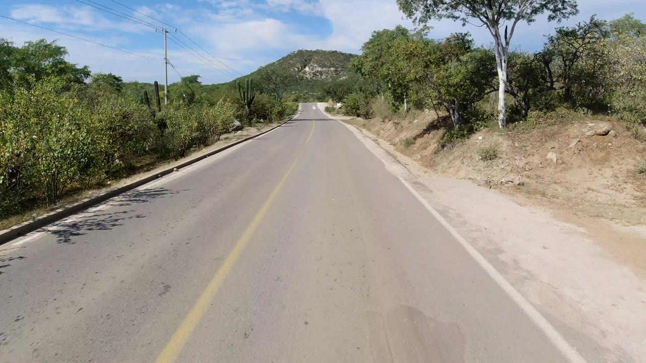 Forward view of a Los Cabos country road with a yellow center line, dry shoulders, green roadside foliage, utility wires, a low hill ahead, and no visible people.