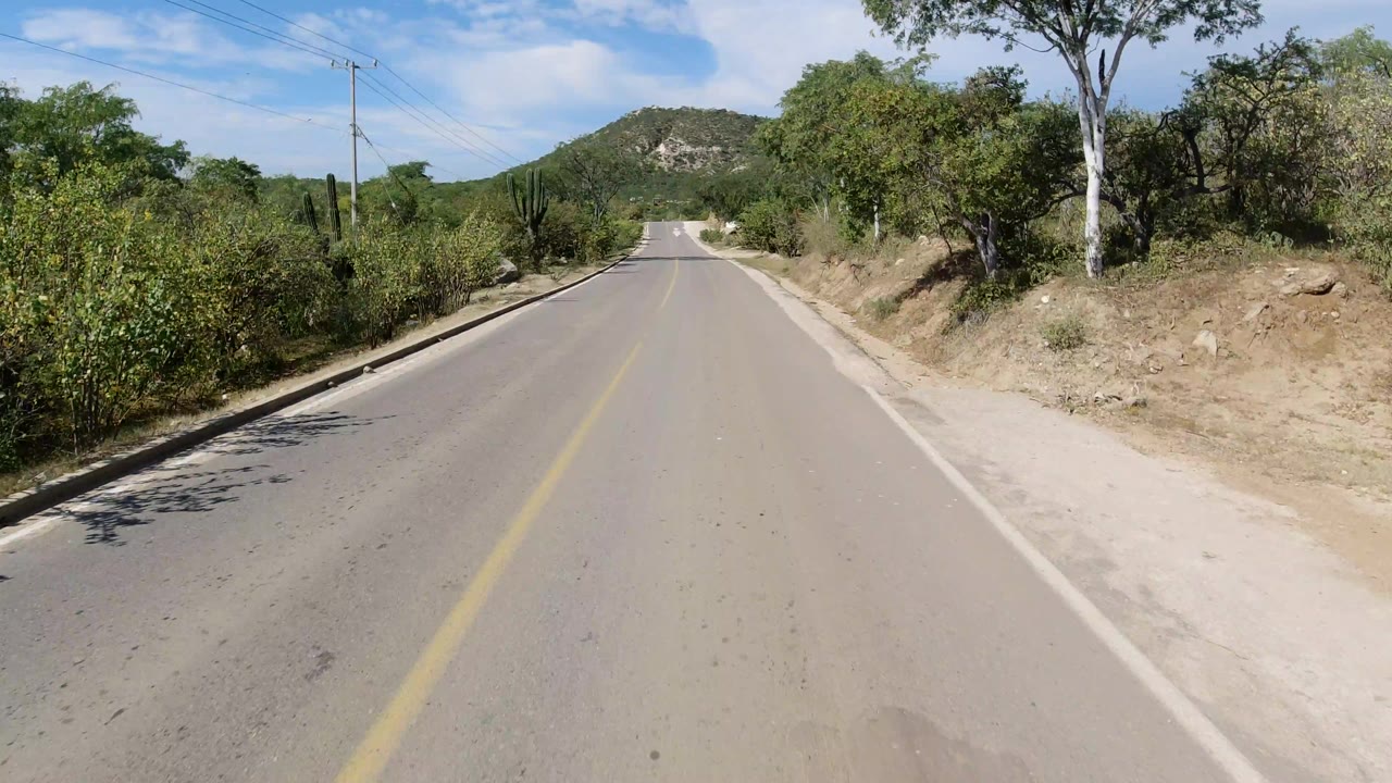 The road remains centered as it approaches a low hill, with dense shrubs along both shoulders, utility poles at the roadside, patchy clouds overhead, and no visible people.