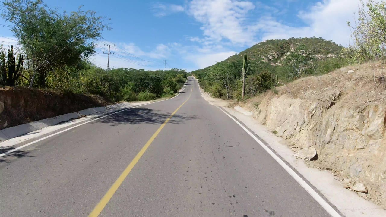 Los Cabos road scene with the pavement running beside a pale rocky embankment, shrubs and trees on both sides, utility poles, blue sky, and no visible people.