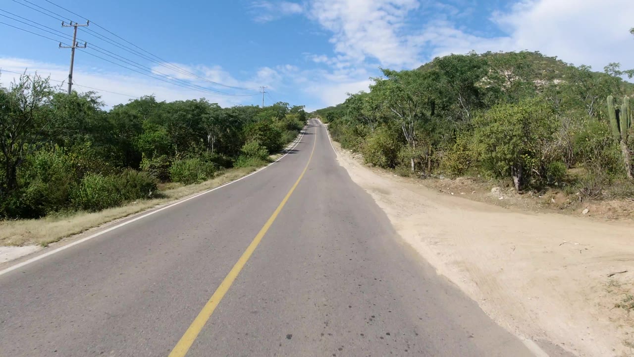 Empty road curving gently through green roadside brush under a bright sky.