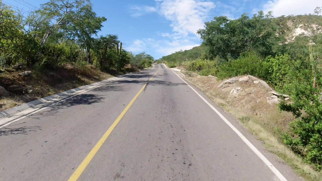 Forward road view in Los Cabos, Mexico, with a yellow center line, roadside trees and bushes, a low hill ahead, bright sun, and no visible people.