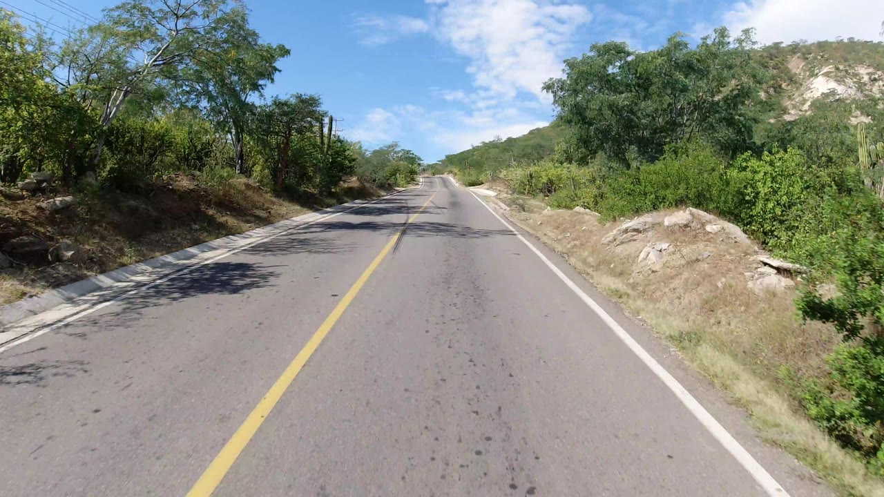 Los Cabos road frame with asphalt foreground, yellow lane stripe, dense green shrubs, trees on both shoulders, a rocky dirt edge, and no visible people.