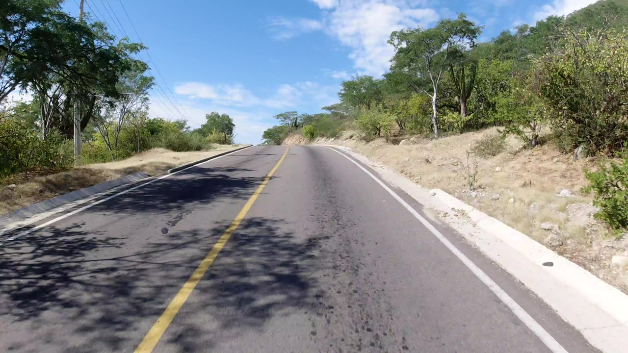 Forward view of an empty Los Cabos road with a yellow center line, trees and scrub on both sides, blue sky overhead, and no visible people.