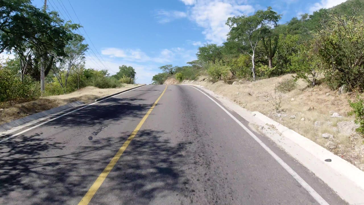 The Los Cabos road continues uphill with tree shadows on the asphalt, dense green brush at the shoulders, utility wires above, and no visible people.