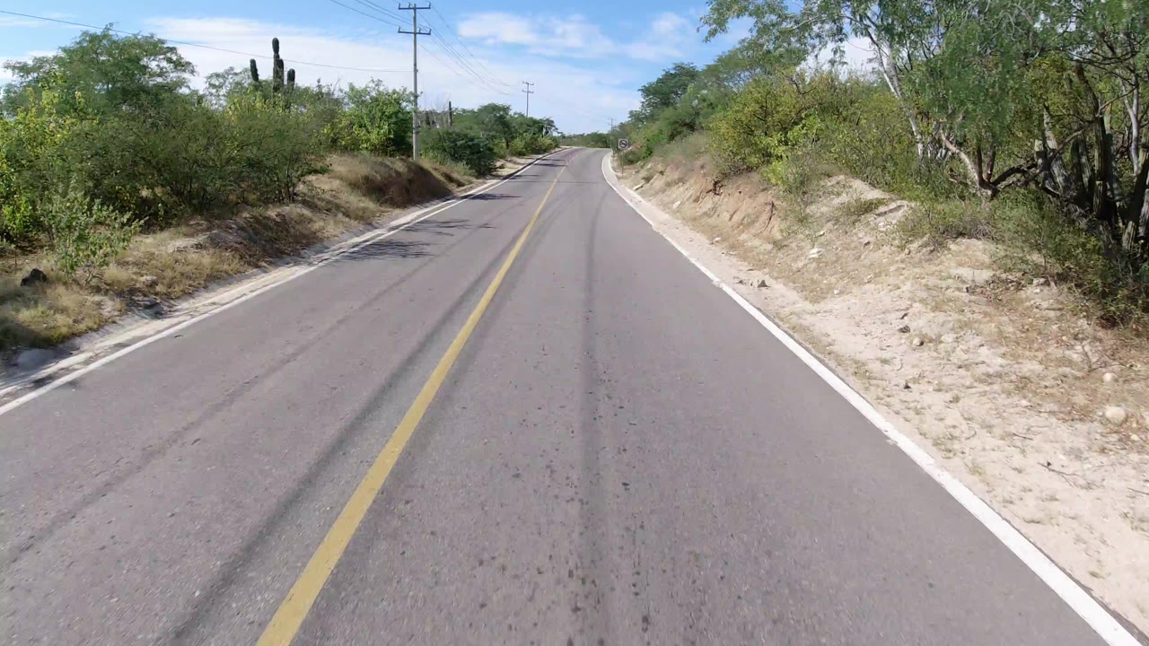 Forward road view on a clean public highway in Los Cabos, Mexico, with sandy shoulders, scattered trees, distant utility poles, and no visible people.
