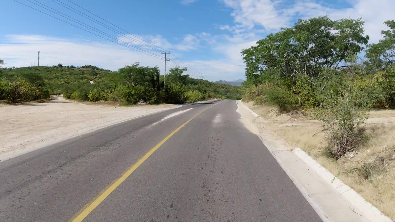 Road-level frame in Los Cabos, Mexico, with the yellow centerline leading ahead past a sandy turnout, dense green trees, utility poles, and no visible people.
