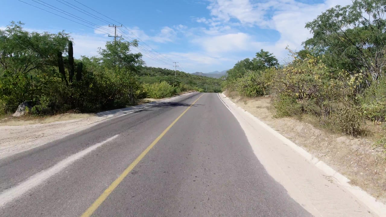 Long empty road descending between brush and trees.