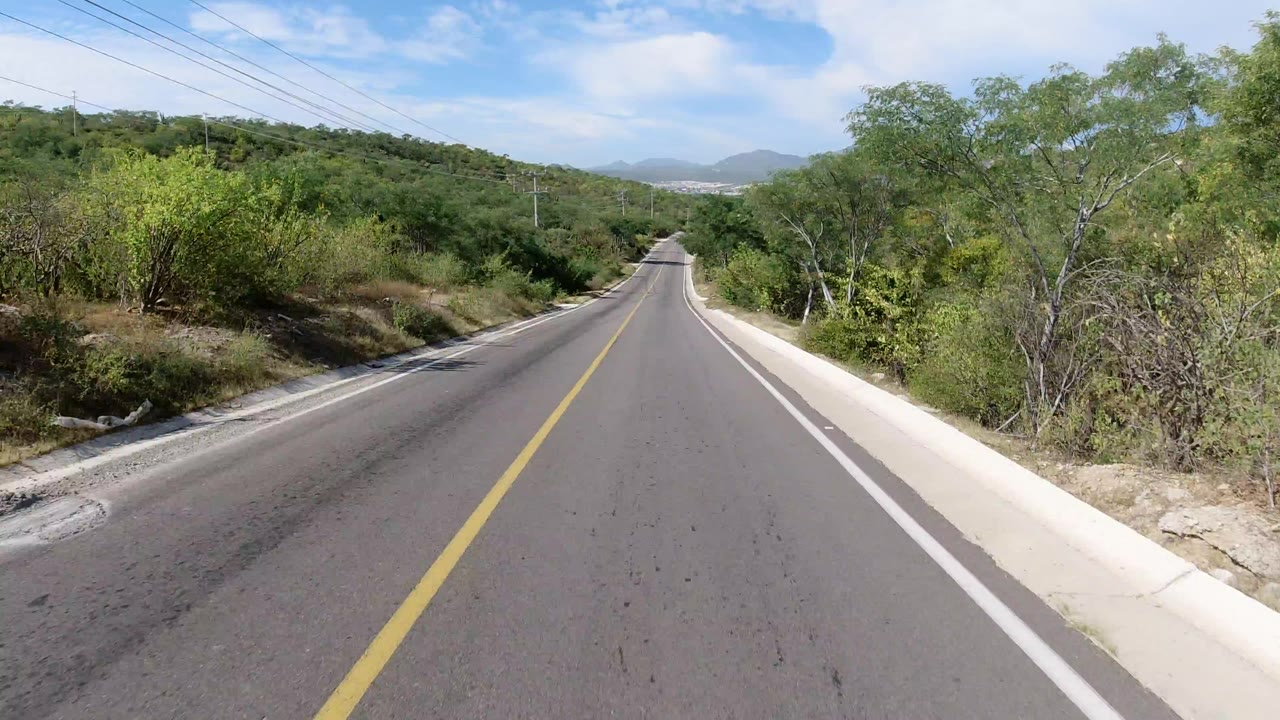 Empty paved road through green roadside brush under a blue sky.