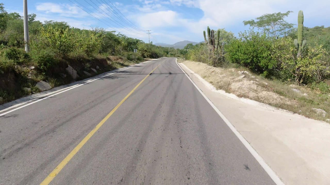 Early road view in Los Cabos, Mexico, showing the lane narrowing toward distant hills, with cactus and dense green brush near the right shoulder and no visible people.