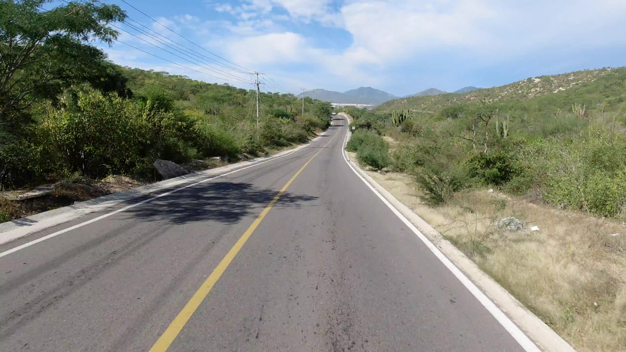 A paved Los Cabos road runs into the distance between dense green roadside vegetation, with a yellow center line, utility wires, low hills, and no visible people.