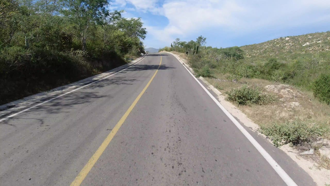 Forward view down a two-lane road in Los Cabos, Mexico, with a yellow center line, roadside trees, dry brush, low hills, blue sky, and no visible people.