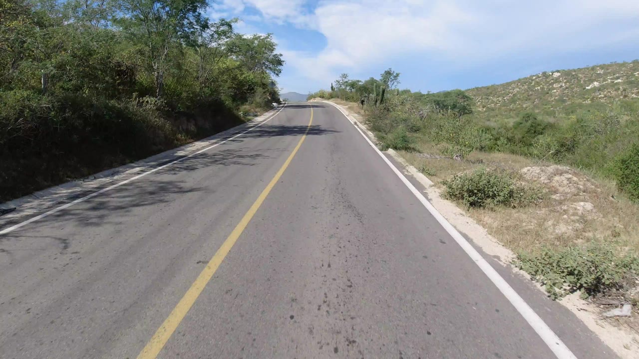 The road continues ahead in Los Cabos, Mexico, with tree shade crossing the pavement, scrub vegetation on both shoulders, distant hills, and no visible people.