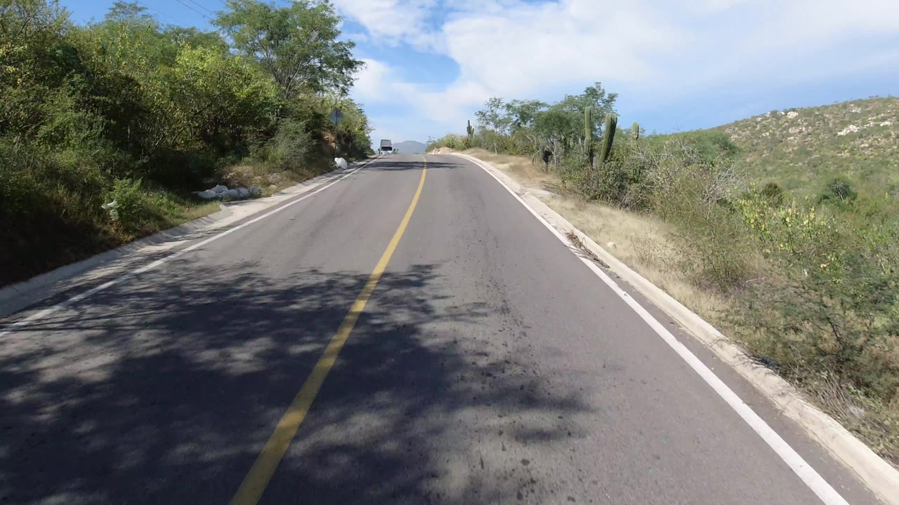 Road crest with a small distant vehicle and roadside cactus.